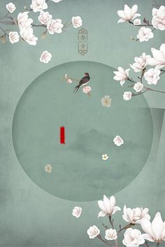 含羞草实验室